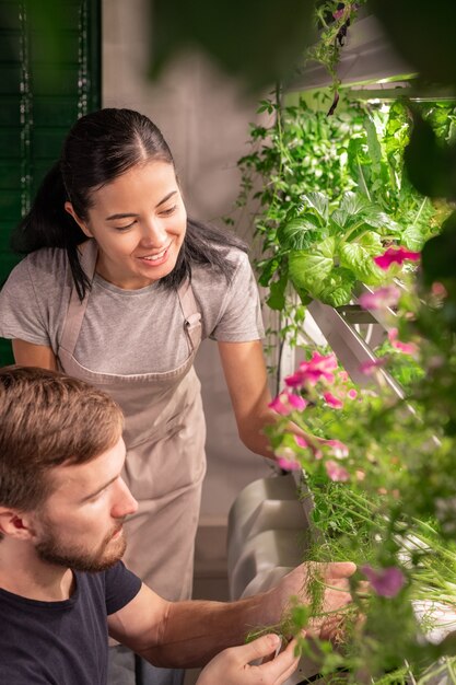 Young female gardener explaining her serious male colleague how to take care of new sort of pink petunia in greenhouse