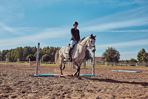 オープンアリーナでハードルを飛び越えてまだらの灰色の馬に乗った若い女性騎手。