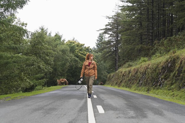 A young female photographer walking on the paved road surrounded by dense trees with brown cows