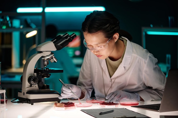 실험실에서 재배된 고기 대용품을 분석하는 젊은 여성 과학자