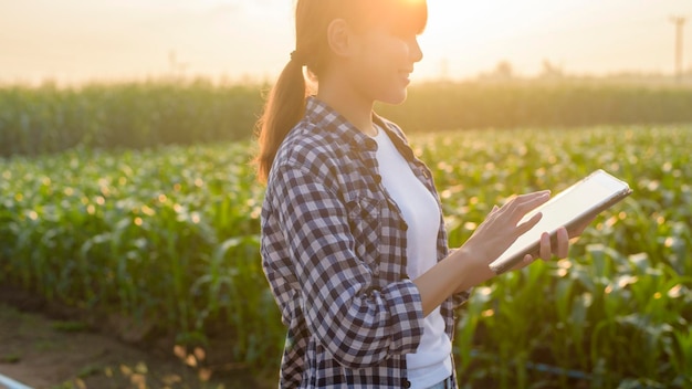 Молодая женщина-умный фермер с планшетом на поле, высокотехнологичными инновациями и умным сельским хозяйством