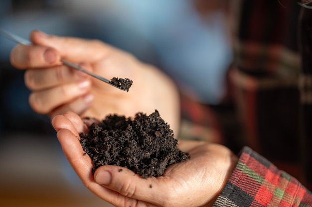 young Female soil scientist holding a soil in a hand in a soil laboratory in australia