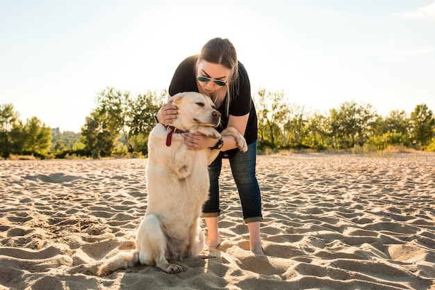 Young female training labrador retriever dog on the beach at sunset