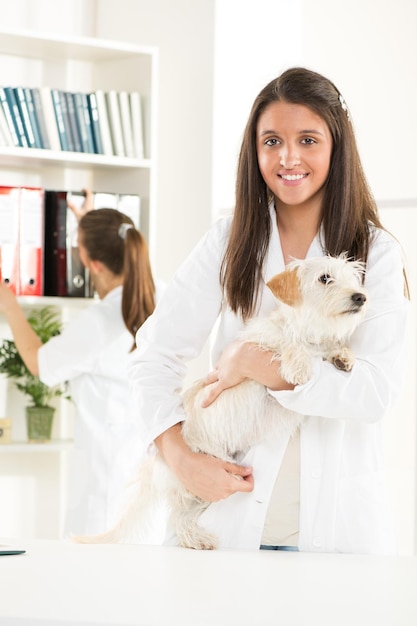 귀여운 아름다운 강아지와 함께 젊은 여성 수의사.