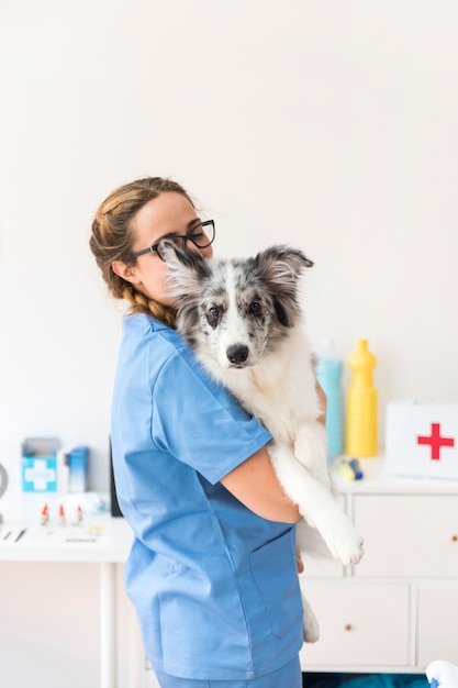 Young female veterinarian carrying dog in clinic