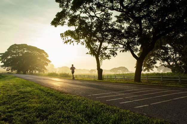 Young fitness woman running on morning tropical forest trail