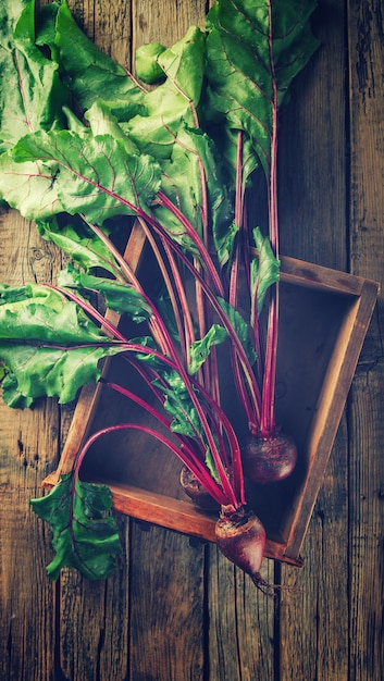 Young,fresh beets with tops 