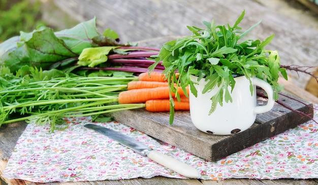 Photo young fresh carrot, beetroot and arugula salad