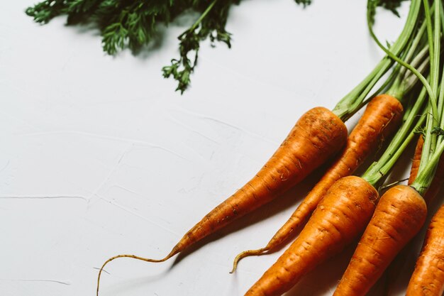 Young fresh carrots with green tops on white