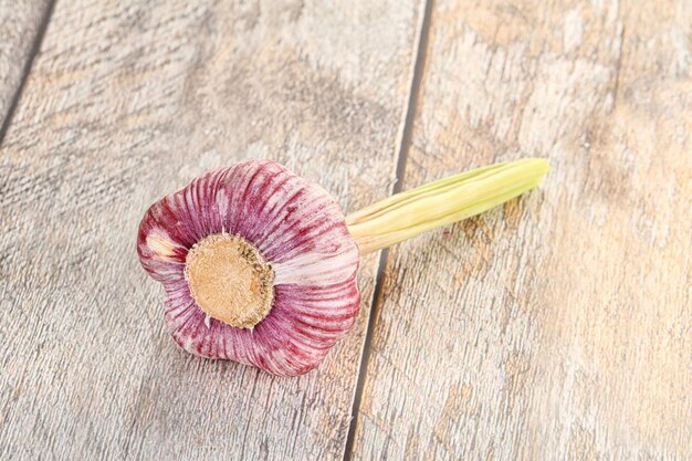 Young fresh garlic for cooking