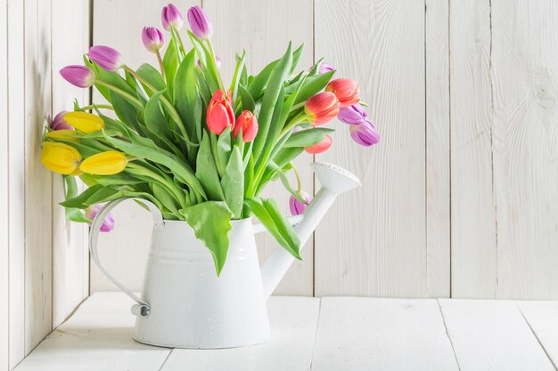 A young and fresh tulip in the watering can