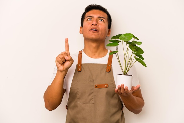 開いた口で上向きの白い背景で隔離の植物を保持している若い庭師ヒスパニック男