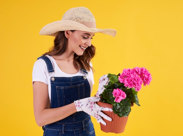 Young gardener holding flower pot with beautiful pelargonium