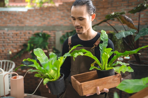 Молодой садовник растение в хобби дома природа флорист образ жизни человека в зеленой концепции