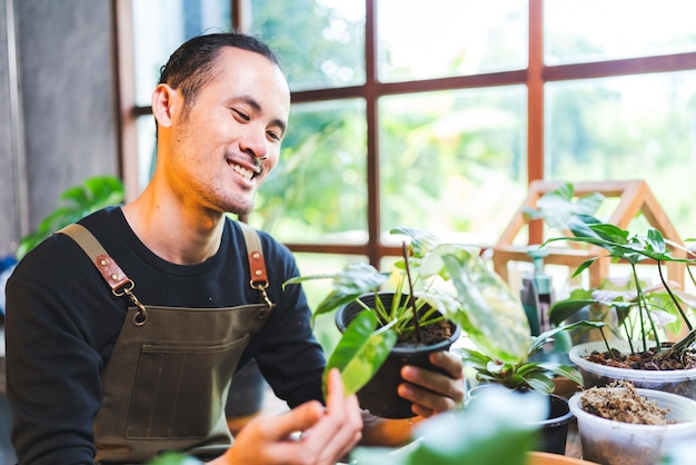 Young gardening a plant in hobby at home nature florist person lifestyle in green concept