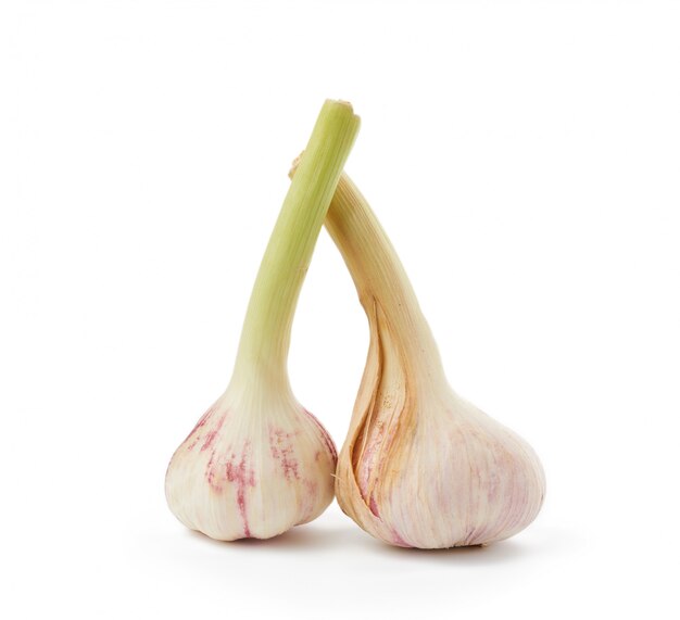 Young garlic root isolated on white background, fragrant spice