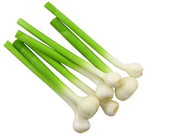 Young garlic on white background. Isolated over white