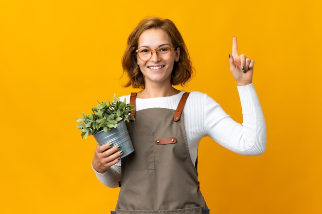 素晴らしいアイデアを指している黄色の背景に分離された植物を保持している若いジョージ王朝の女性