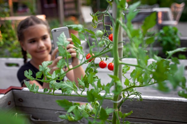 Foto una ragazzina in abito casual interagisce con la natura fotografando i pomodori in maturazione con lei