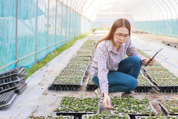 Young girl checking quality  of sapling  by tablet. agriculture and food production concept.