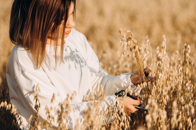 A young girl cuts the ears of oats with her hands.