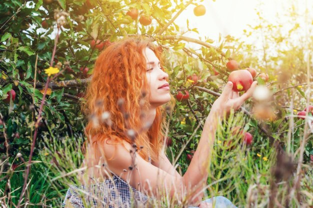 Foto giovane ragazza eve detiene una mela in mano ritratto in un raccolto autunnale meleto abbandonato