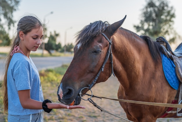 若い女の子が自然光の中でニンジンのクローズアップを馬に与える