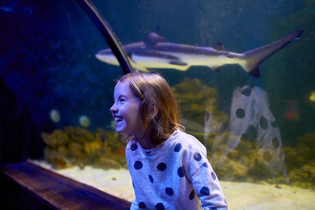 写真 水族館のトンネルの上を泳ぐサメに驚く少女