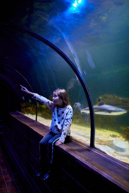 사진 해양 수족관 터널 위를 헤엄치는 상어를 보고 감탄하는 어린 소녀