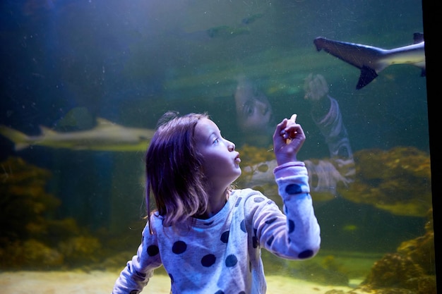 写真 水族館のトンネルの上を泳ぐサメに驚く少女