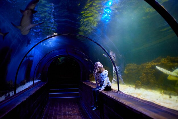 Young Girl Marvels at turtle Swimming Above in Oceanarium Tunnel