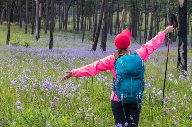 Photo young  girl in pink jacket  hiking on mountains. phu soi dao national park, uttaradit province, thailand.