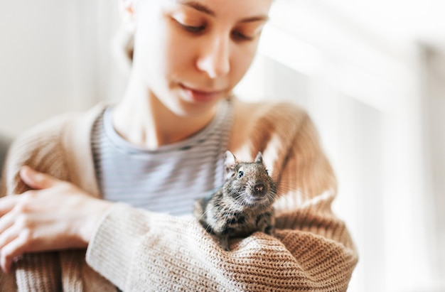 Young girl playing with small animal degu squirrel