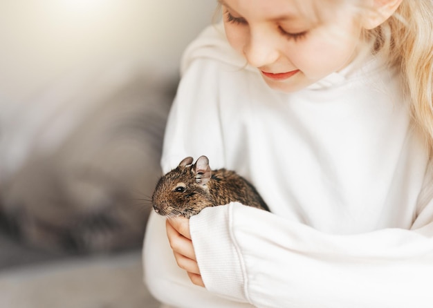 작은 동물 degu 다람쥐와 노는 어린 소녀