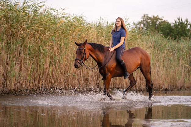 Молодая девушка на лошади на мелководном озере. Лошадь бежит по воде на закате