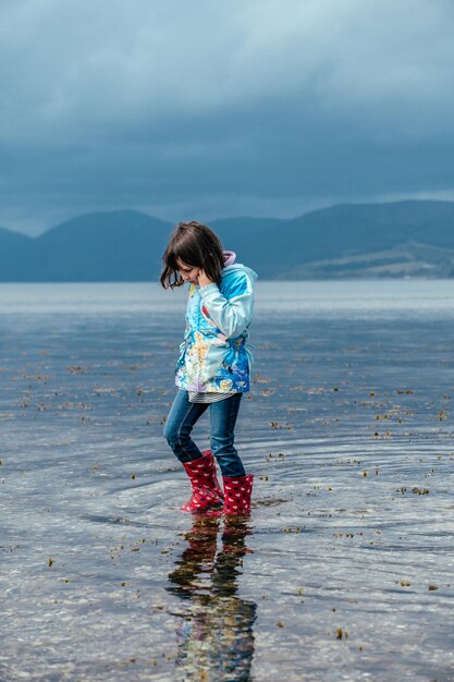 Photo a young girl in shallow water searching for seashells