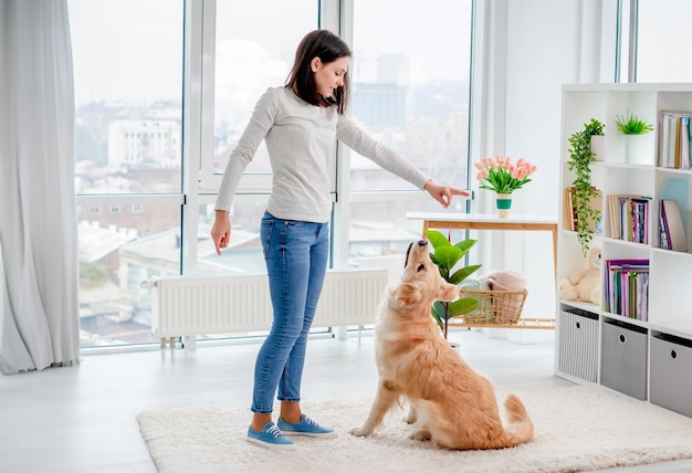 Young girl training golden retriever dog lying on floor in modern apartment