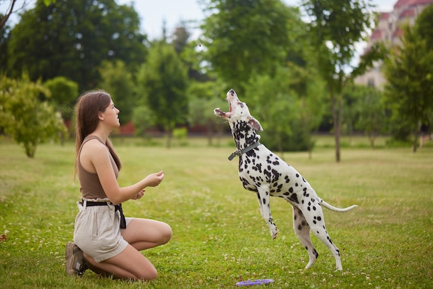 a young girl treats a Dalmatian dog in the park dog training concept