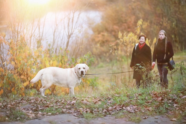 Young girl on a walk in the autumn garden