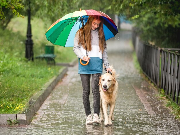 ゴールデンレトリバー犬と雨の下で歩く少女