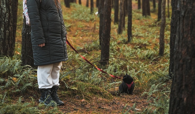 Young girl walking with black cat on a leash in the park