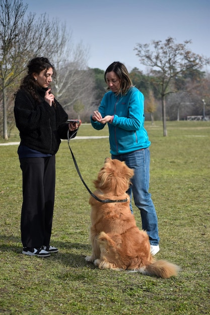 Young girl with dog's coach training his dog