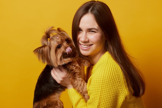 Young girl with a dog yorkshire terrier on a yellow clean background