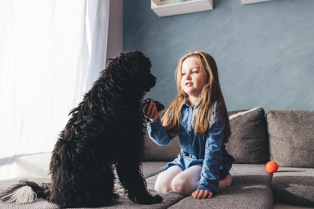 Young girl with her dog friend playing at home Friendship