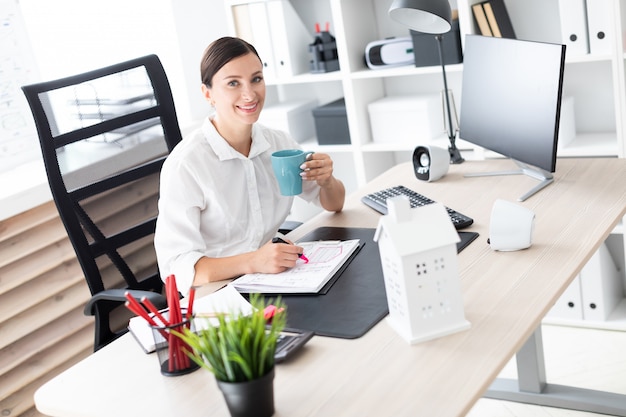 A young girl working in the office at the computer.