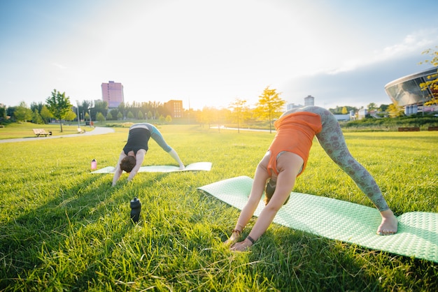 Young girls do yoga outdoors in the park during sunset. healthy lifestyle