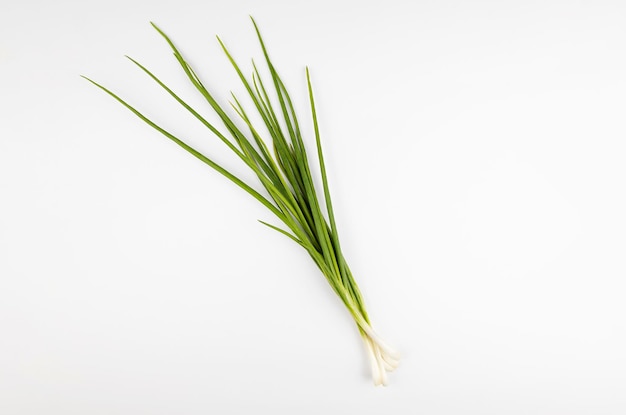 Young green onions are isolated on a white background