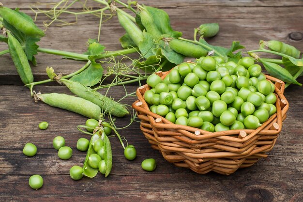 Young green peas in a wicker basket