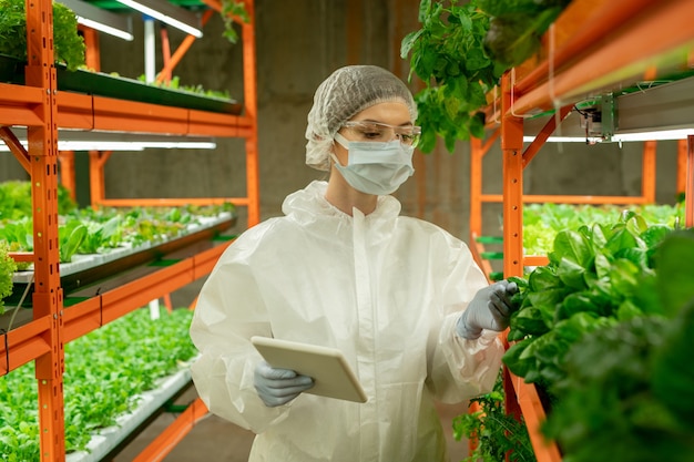 Giovane lavoratore in serra in tuta protettiva, maschera e occhiali di sicurezza che tengono tablet e controllano le foglie di verdure in una fattoria verticale