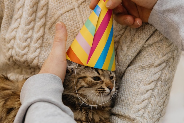 若い男が猫を手に取り誕生日のコーン帽子をかぶっています